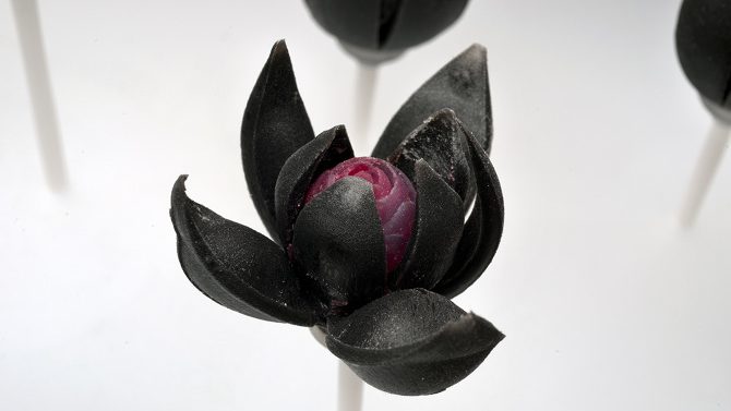 3D geprinte bloemen