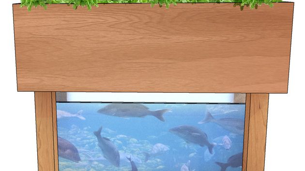Aquaponics: een nieuwe manier van landbouw en visserij