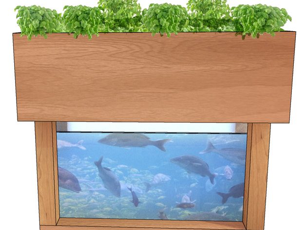 Aquaponics: een nieuwe manier van landbouw en visserij