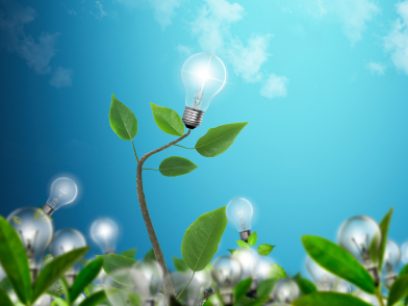 Trend: Biomimicry