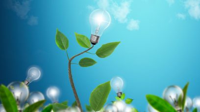 Trend: Biomimicry