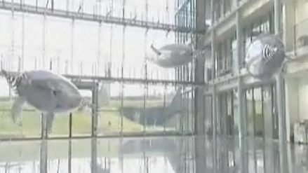 Eerste bionische pinguin een feit