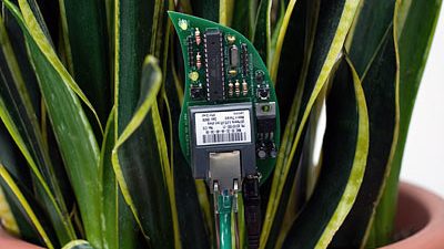 Botanicalls.com, je planten hebben je nummer