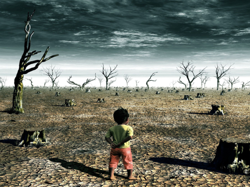 Rosling: climate change and population growth