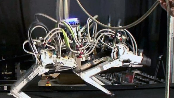 Darpa's robot jachtluipaard: Cheetah