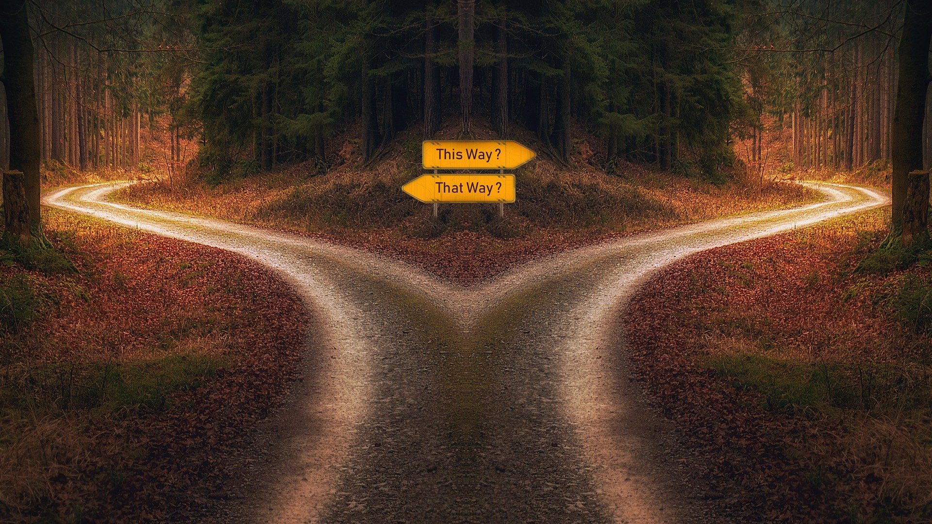 Hoe zie jij de toekomst?