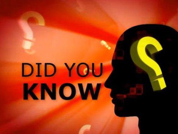 Did you know, menselijk kapitaal 2009