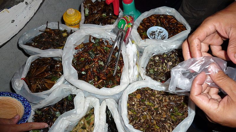 Insecten eten: morgen doet iedereen het