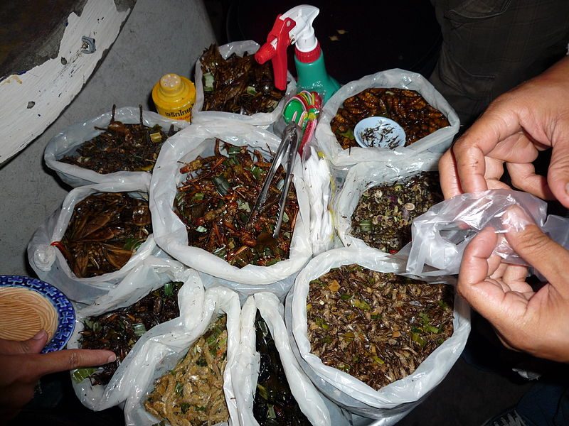 Insecten eten: morgen doet iedereen het