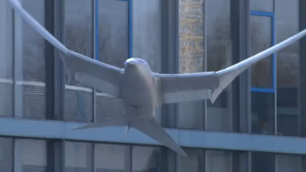 Smartbird: levensechte robot vogel