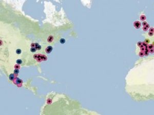 Open source data tracking: varkensgriep