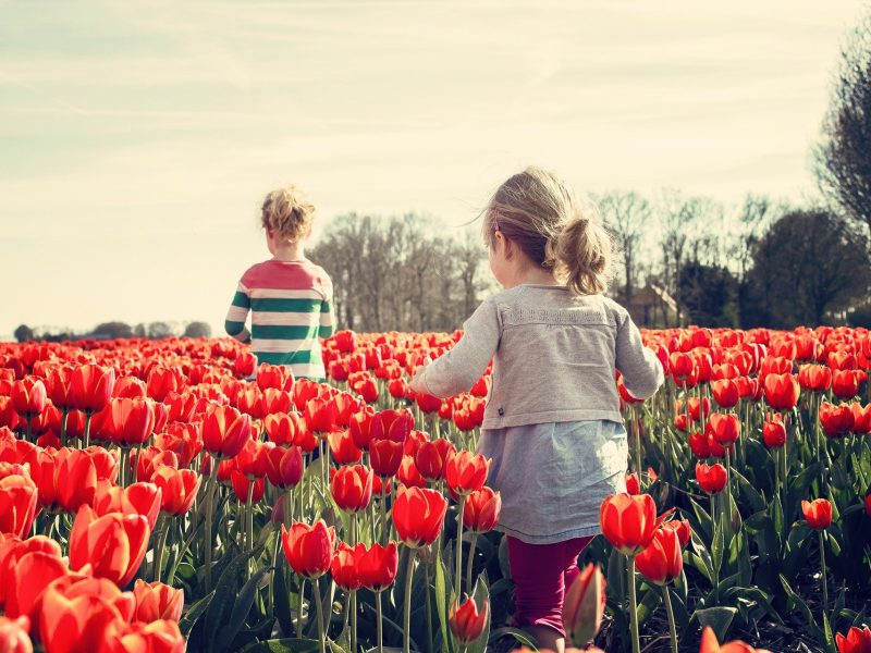 OESO rapport over kinderen en welbevinden
