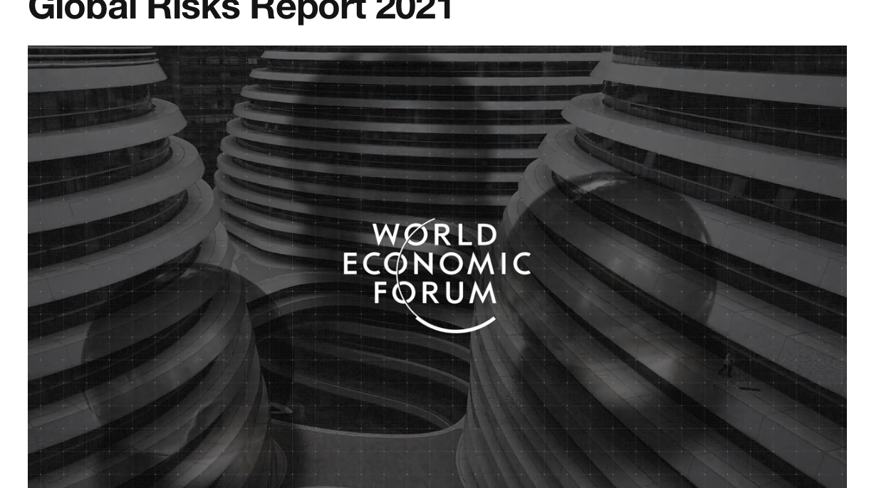 World Risk report 2021 (WEF)