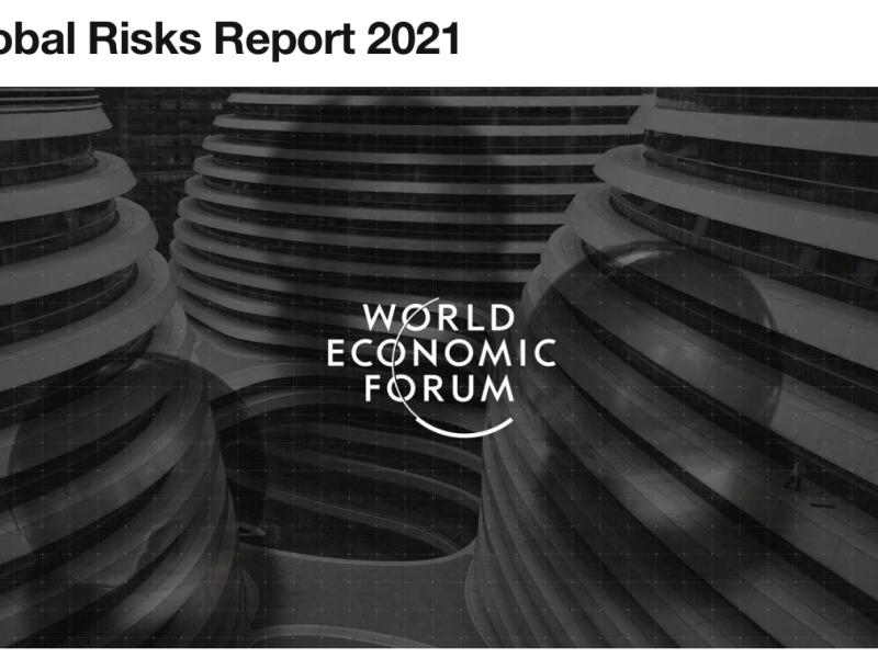 World Risk report 2021 (WEF)