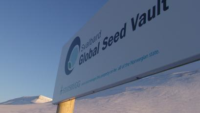 Doomsday vault, 's werelds belangrijkste kluis