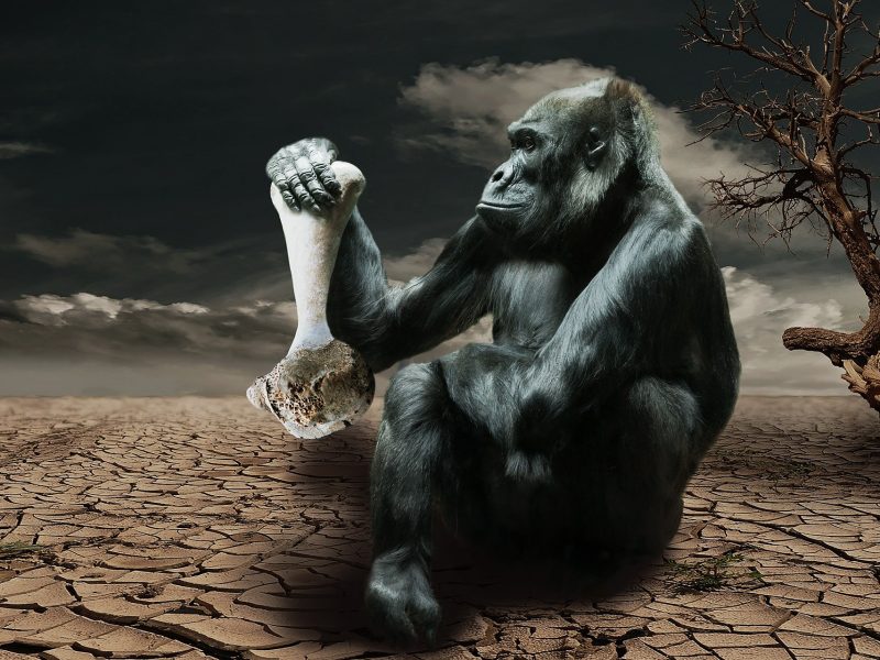 Unbroken Ground