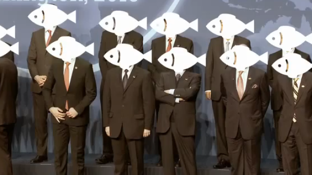 'I am fishead', wat is verkeerd met de wereld?