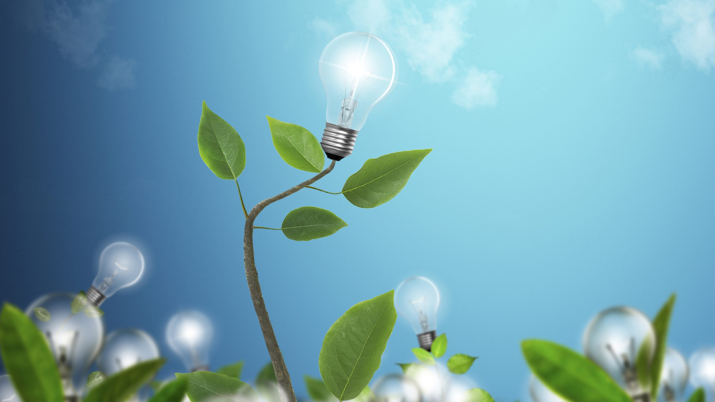 Trend: Biomimicry