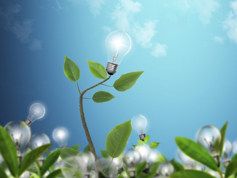 Trend: Biomimicry