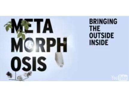 Metamorphosis: natuur 'meets' mens