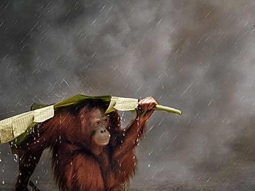 Selectie inspirerende foto's - quotes van de week (V)