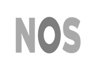 Nederlandse Omroep Stichting (NOS)
