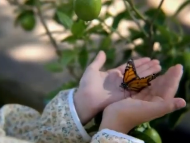 Olive: bioscoopfilm gemaakt met de smartphone