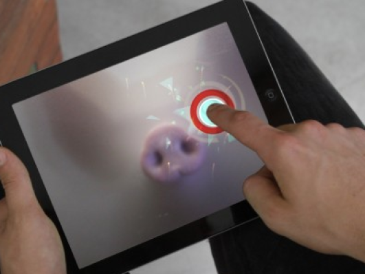 Spelen met varkens via een app?