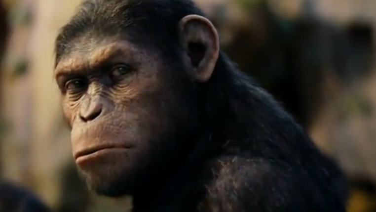 Wetenschap waarschuwt voor 'Planet of apes' scenario's