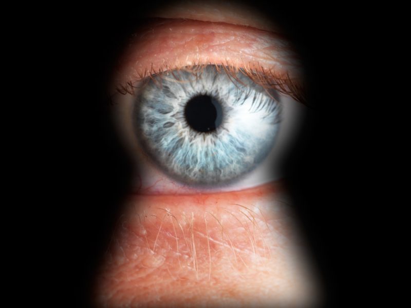 Trend: Privacy reset
