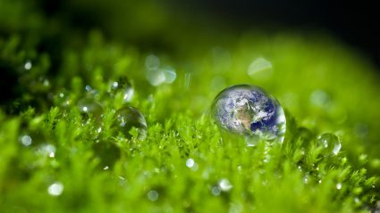 Trend: Mindful consumption