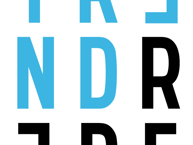 Trendrede 2013