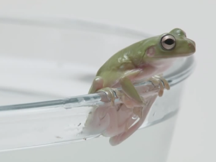 Nieuwe publiekscampagne Triodos bank