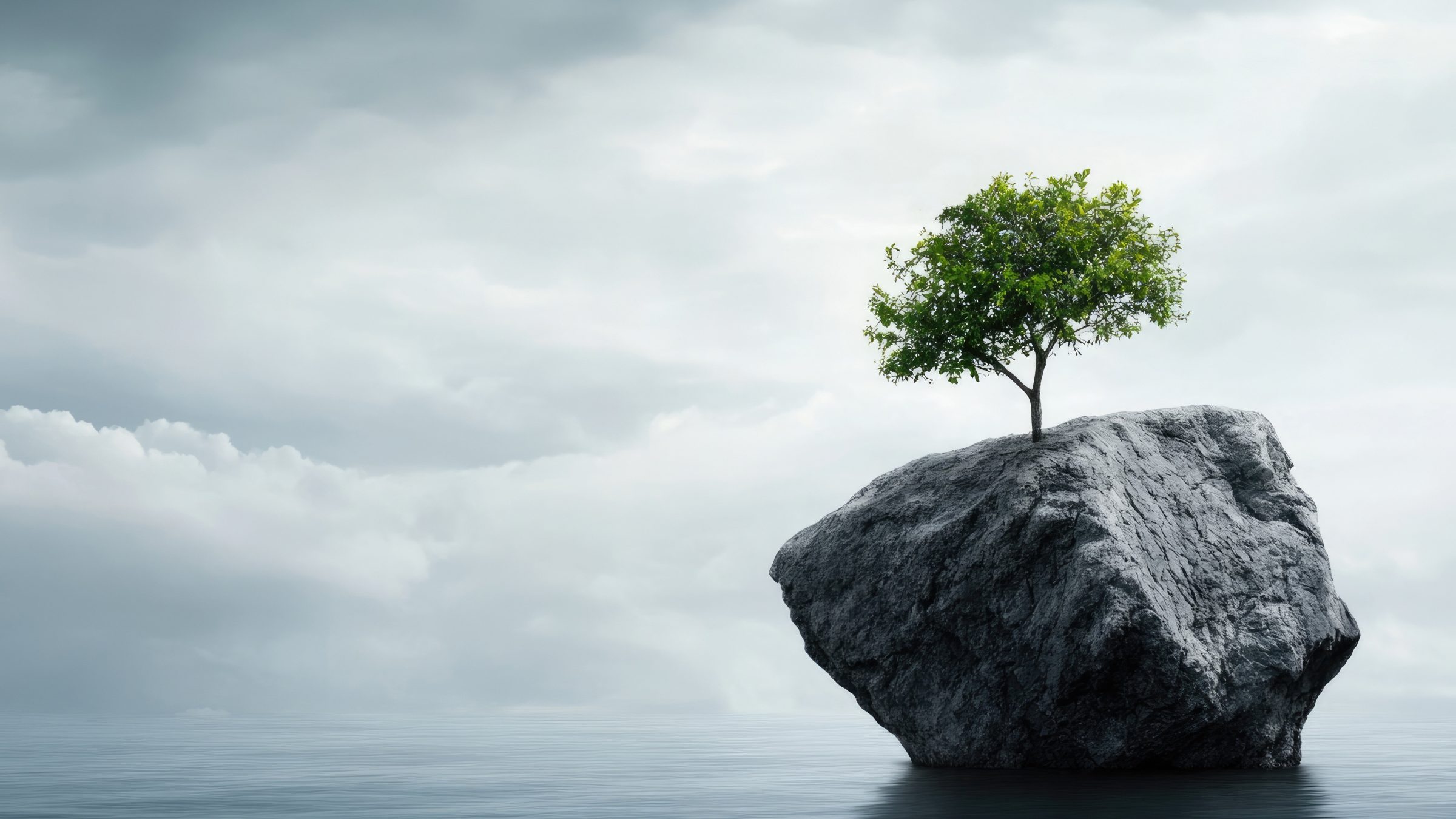 Rapport: Building Human Resilience, een sterk rapport gebouwd op een verkeerd uitgangspunt?