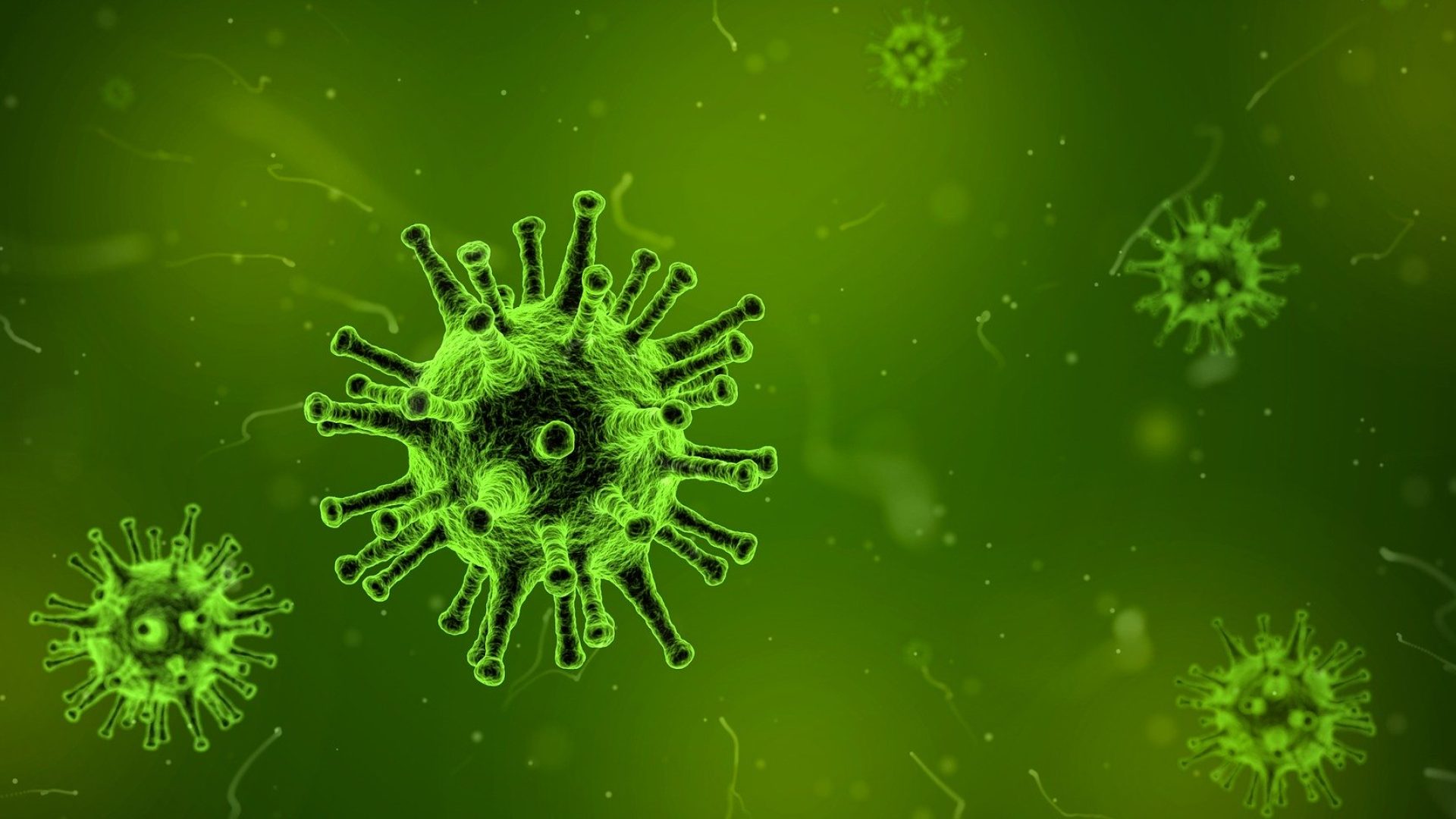 VPRO Tegenlicht: Virus van morgen (must see)