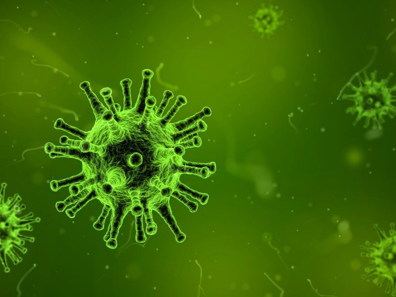 VPRO Tegenlicht: Virus van morgen (must see)